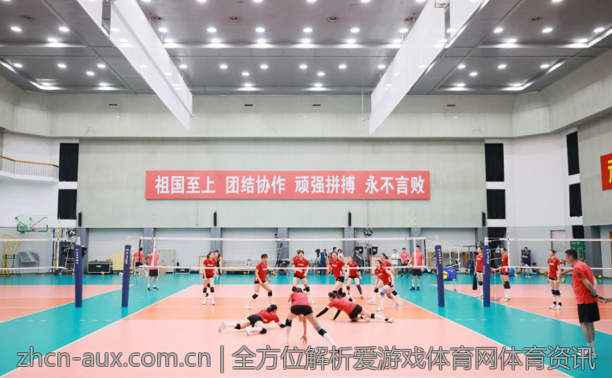 全方位解析爱游戏体育网体育资讯