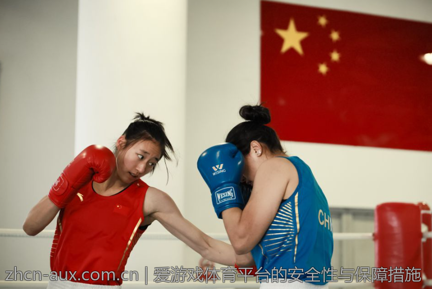 爱游戏体育平台的安全性与保障措施